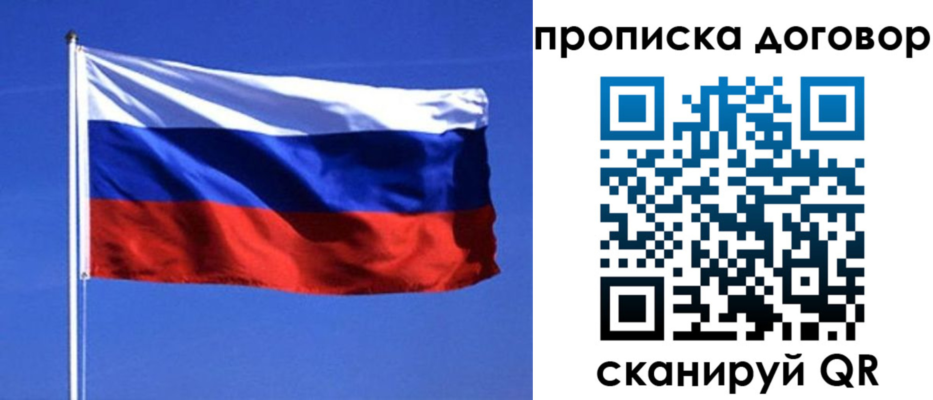 прописка поиск в Черноголовке